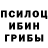 Псилоцибиновые грибы ЛСД Phil Hutchins