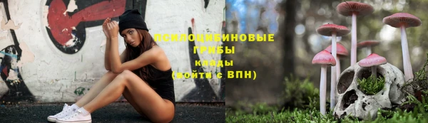 Альфа ПВП Гусиноозёрск