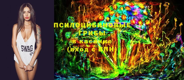ECSTASY Дмитровск